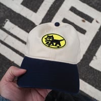 Image 3 of Cat Delivery 6 panel cap