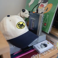 Image 4 of Cat Delivery 6 panel cap