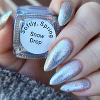 Image 20 of Snow Drop