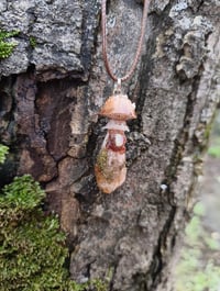 Image 4 of Spotted Field mushroom citrine fairy pendant 