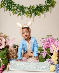 Image 2 of Easter/Spring Mini Sessions 2026
