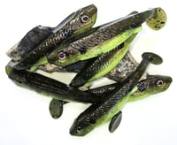 Image 1 of 4" Custom Swimbait #40025