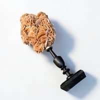 Image 9 of Rose des sables sur socle en bois tourné  Napoléon III - cabinet de curiosités