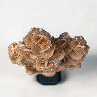 Image 8 of Rose des sables sur socle en bois tourné  Napoléon III - cabinet de curiosités