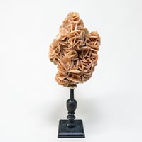 Image 1 of Rose des sables sur socle en bois tourné  Napoléon III - cabinet de curiosités