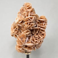 Image 6 of Rose des sables sur socle en bois tourné  Napoléon III - cabinet de curiosités