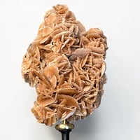 Image 7 of Rose des sables sur socle en bois tourné  Napoléon III - cabinet de curiosités