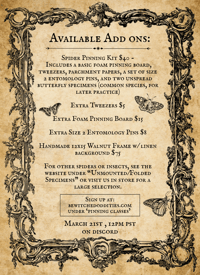 Image 2 of (Virtual Class) Spider Pinning: Orb Weavers