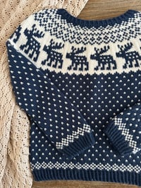 Image 11 of Snowy Deer