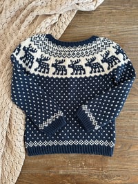 Image 12 of Snowy Deer