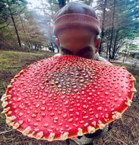 Amanitra Muscaria Products