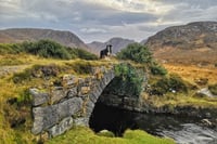 Image 3 of In Memory of Iggy. 