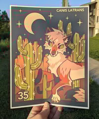 Image 1 of Coyote Stamp Print limited