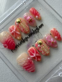 Image 1 of CORAL FAIRY SHELL