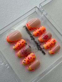 Image 2 of SUNSET SAFARI 