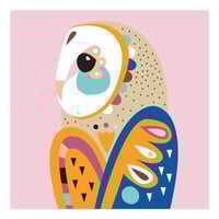 Pete Cromer Barn Owl Paint By Number Canvas Kit 40 x 40 cm