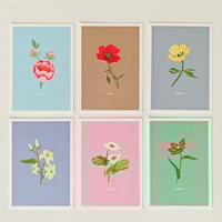 Set of Botanical cards (6 Cards + envelopes)