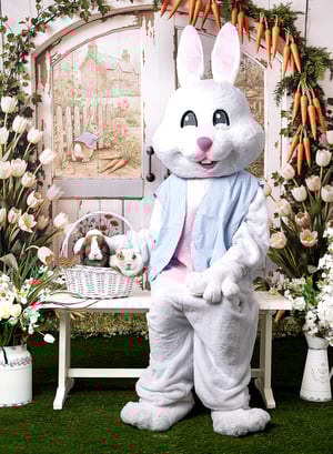 Image of Easter Bunny Photos- SATURDAY March 21, 2026
