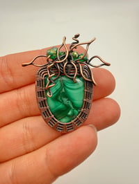 Image 1 of Malachite Plant in a Pot