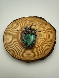 Image 2 of Malachite Plant in a Pot
