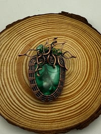 Image 3 of Malachite Plant in a Pot