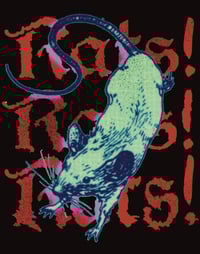 Image 2 of Saturday Night Wrist -- Deftones Fanzine