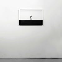 Image 1 of WIDER GROUND