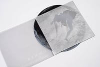 Image 4 of swollowyourshadow-DOWNER OTTER001