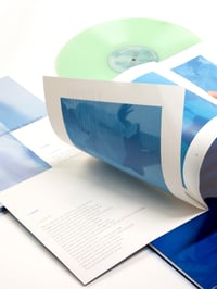 Image 2 of Compilation of nevermind, the summer. nevermind, the winter.- the neverminds OTTER003 Green Vinyl