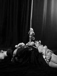 MONOGURUI y-shirt(hooded): (GIVE THEM DIAMONDS)