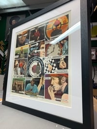 Image 10 of Ocean Colour Scene - Moseley Shoals - 30th Anniversary Edition