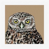 Little Owl Mini Giclee