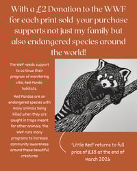 Image 3 of Print of the Month - Little Red