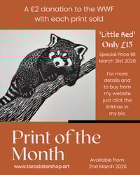 Image 1 of Print of the Month - Little Red