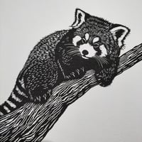 Image 4 of Print of the Month - Little Red