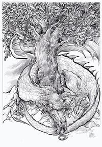 Dragon Tree