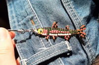 Image 2 of Rainbow trout charm