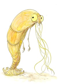 Image 4 of Mild Things *Pre Order*