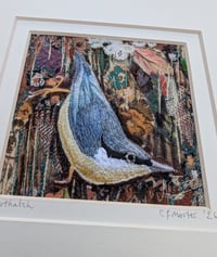 Image 4 of Nuthatch