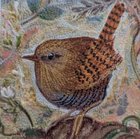 Image 2 of Wren