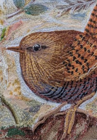 Image 3 of Wren