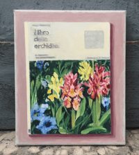 Il libro delle orchidée