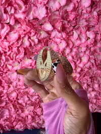 Image 2 of Ashley 💗