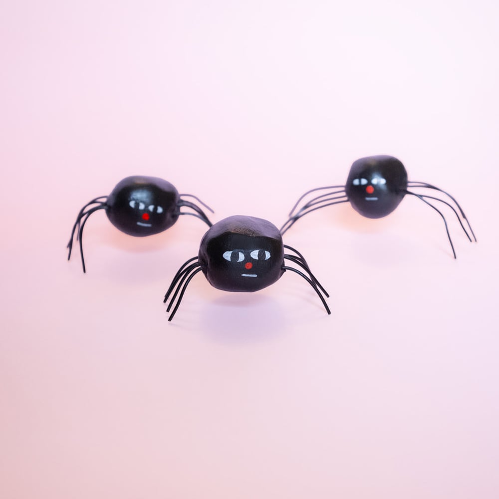 Image of Spiders