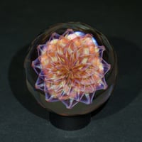Image 1 of Ghost Retiflower Marble/ murrini