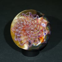 Image 2 of Ghost Retiflower Marble/ murrini