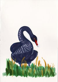 Day 22: Black Swan