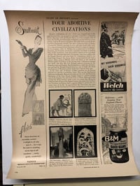 Image 3 of Wolf Poison ! 1948 ad