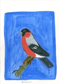 Day 29: Bullfinch  and Blue Skies
