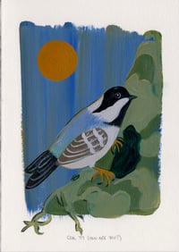 Day 1: Coal Tit (How are you?)